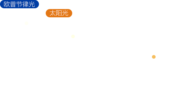 不朽情缘-官方网站