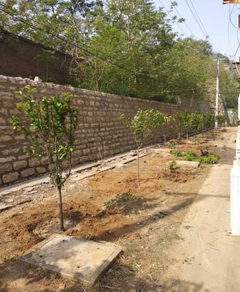 pg电子游戏试玩(模拟器)官方网站 -手机版app下载