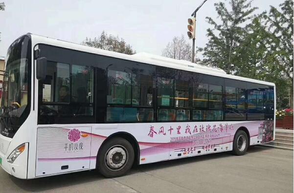 pg电子游戏试玩(模拟器)官方网站 -手机版app下载